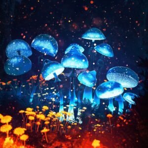 Magic Truffle Amazonian infused edibles