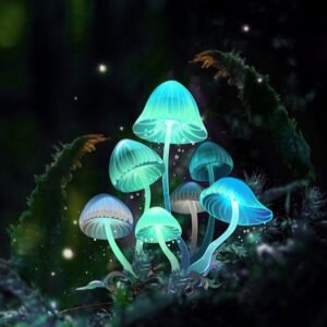 Magic Truffle infused Edibles Gummies