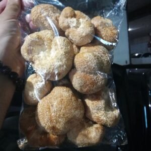 Lions Mane dry Mushrooms