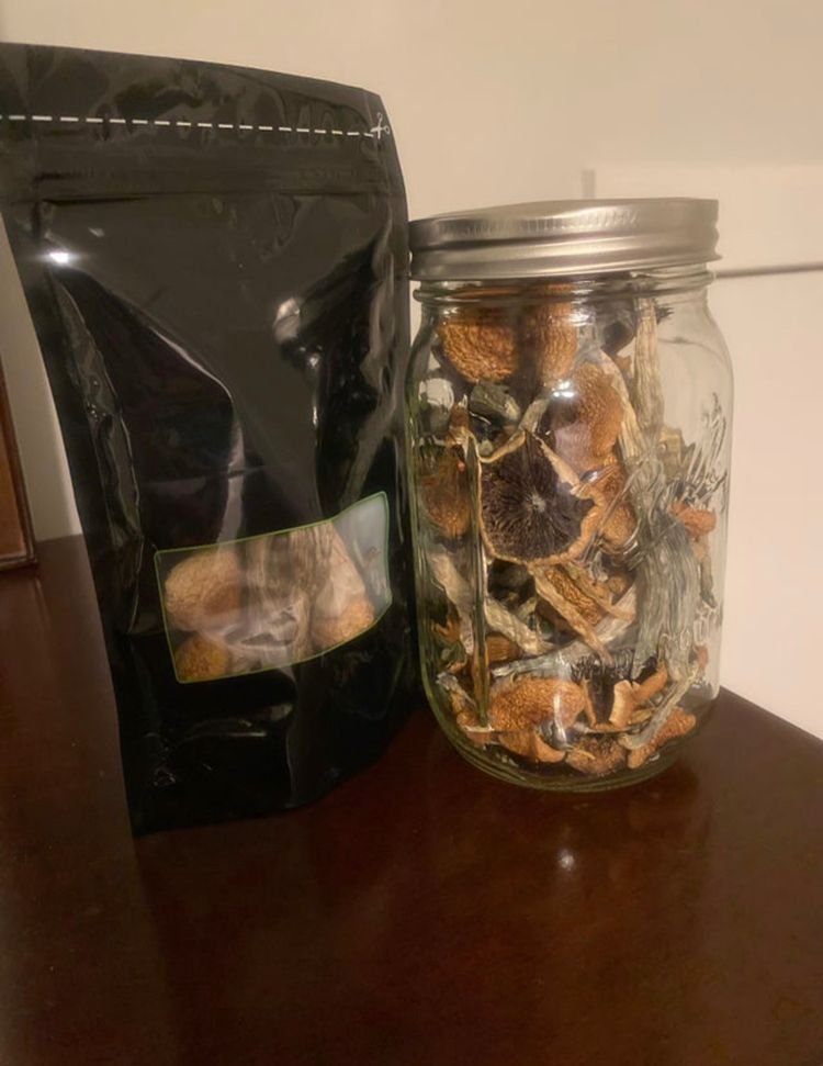 Dry Psilocybin Magic Mushroom