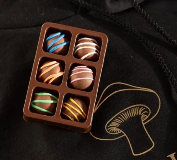 bulk mushroom edibles