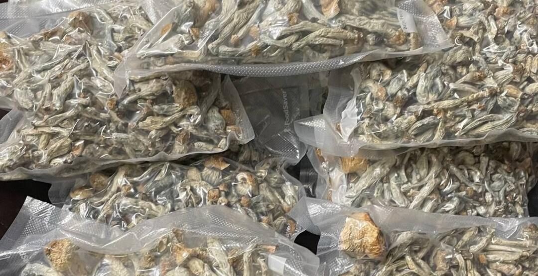 Psilocybin Dry Mushroooms